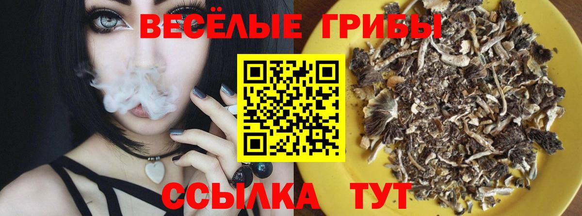 Новоалександровск  купить наркотик  Вход с VPN  Псилоцибиновые грибы мухоморы  Псилоцибиновые грибы прущие грибы 